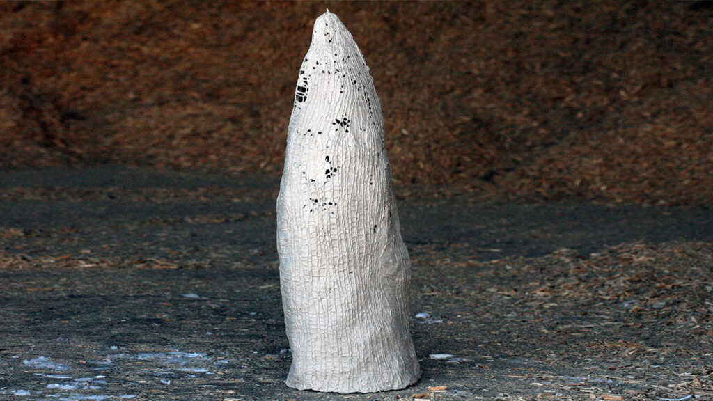 Fra udstillingen Dimensions med titlen: Vækst