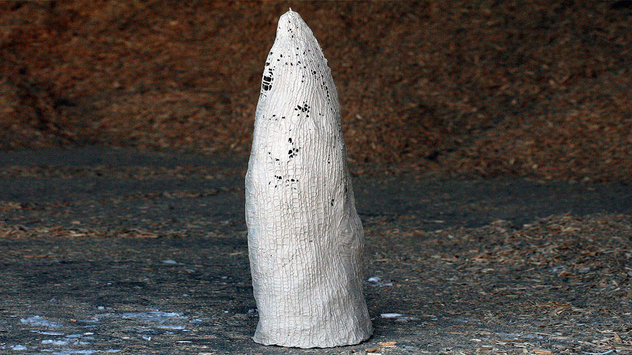 Fra udstillingen Dimensions med titlen: Vækst