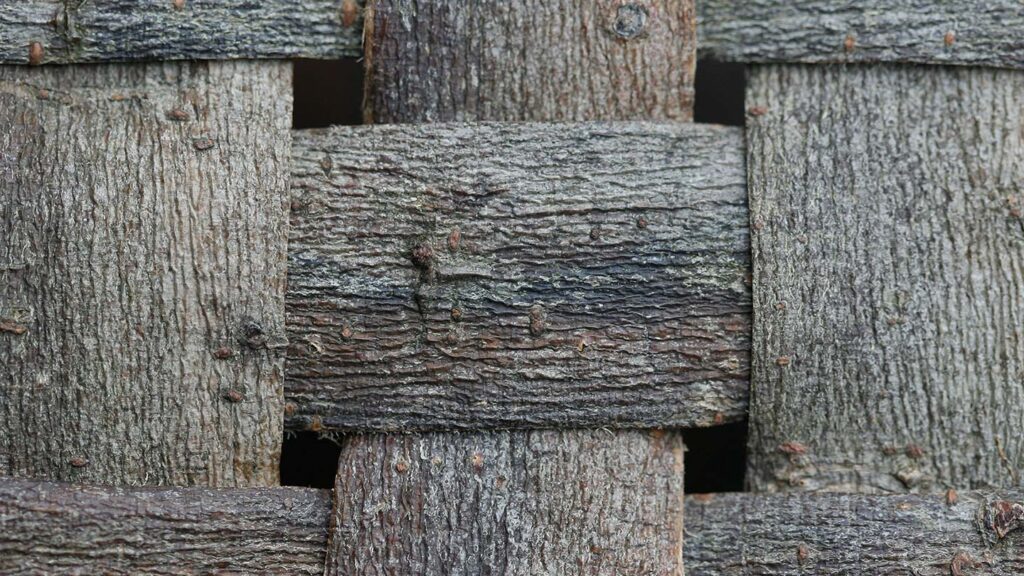 Nærbillede af pilebark, der er flettet