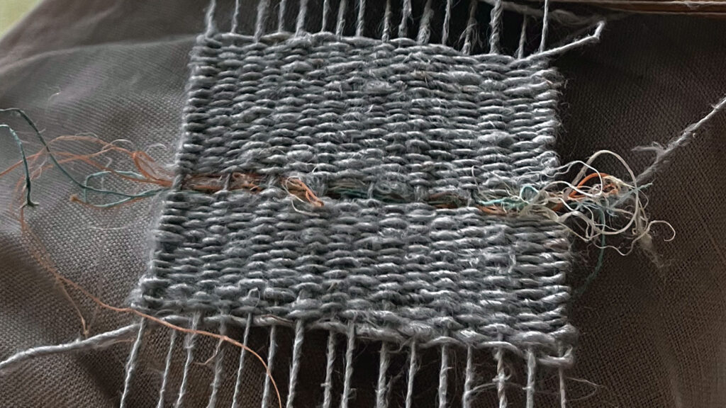 nærbillede af en lille væv